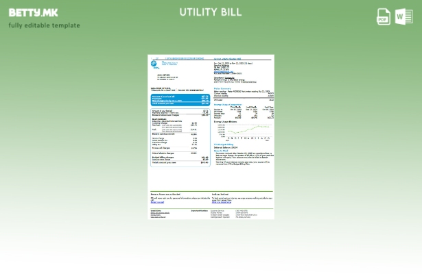 Шаблон за верзија на сметки за комунални услуги на САД FPL во модерен стил 1